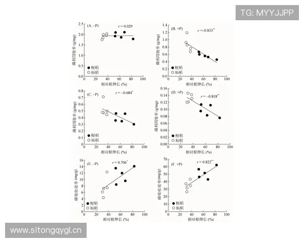 奥利塞与福登:技术流新锐进攻效率及战术适配性对比分析 奥利塞与福登:技术流新锐进攻效率及战术适配性对比分析