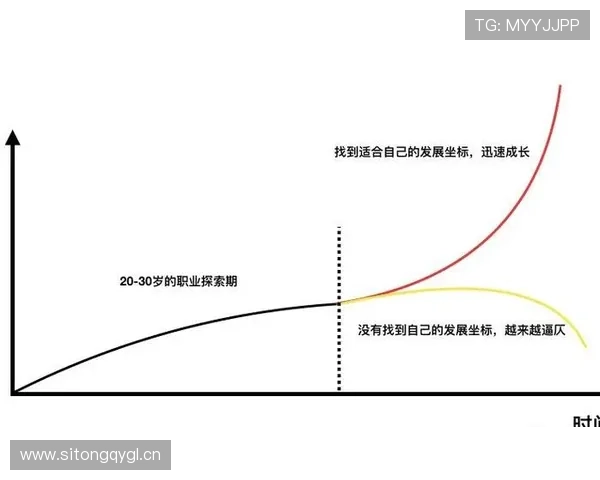 达姆斯高职业轨迹：从北西兰到布伦特福德的稳步成长